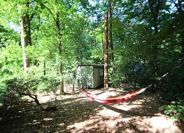 Roulotte tzigane dans les bois avec cheminée - 15