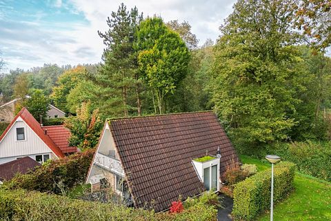 Ferienhaus in der Natur in Drenthe (A-Rahmen) - 3
