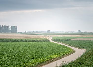 Joyau architectural en Belgique, près de Louvain - 27