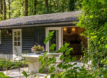 Design boshuisje met privé hottub - 32