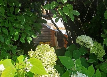 Tiny House in the Eifel - 2