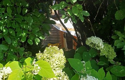 Tiny House in the Eifel - 2