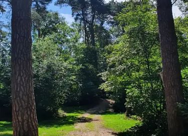 Uniek vakantiehuisje (2p) midden in het bos - 13