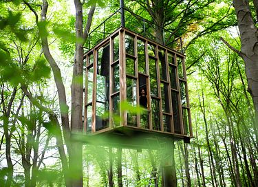 Unique glass cabin at a height of 4 meters - 2