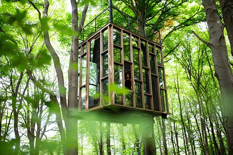 Unique glass cabin at a height of 4 meters - 2