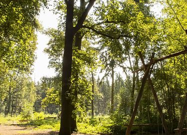 Petite maison de campagne avec cabine de douche près de Deventer - 40