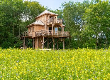 De ultieme boomhut belevenis  - 2