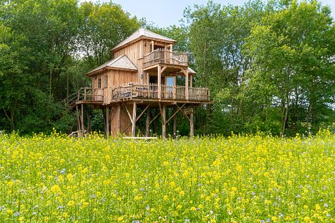 De ultieme boomhut belevenis  - 2