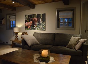 Luxe vakantiehuis met hottub - 16