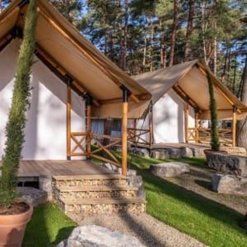 Luxury glamping tent in nature (6p) - 4