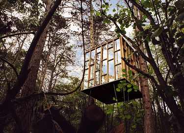 Overnight among the trees in glass cabin - 2