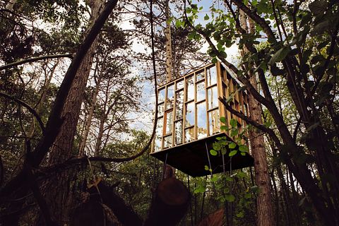 Overnight among the trees in glass cabin - 2