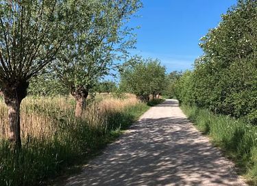 Profiter des joies de l'eau dans une réserve naturelle frisonne  - 19