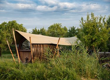 Sleeping in a romantic wine barrel - 2