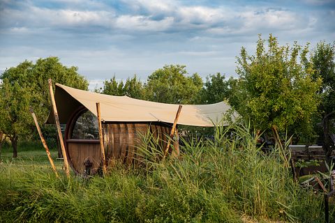 Sleeping in a romantic wine barrel - 2