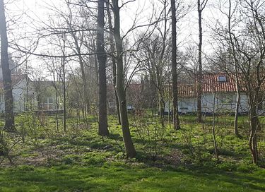 Vakantiebungalow op bosrijk park aan de kust - 29