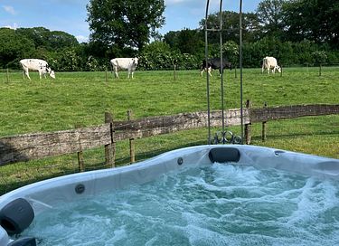 Landelijk huisje met complete privé wellness - 3