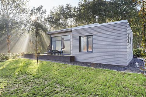 Tierfreundliche Ferienwohnung (4p) in Twente - 2