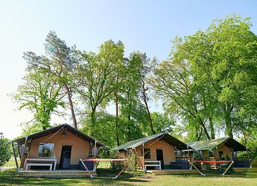 Villatent met privé sanitair op de Veluwe - 18