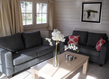 Chalet finlandais dans un environnement naturel - 4