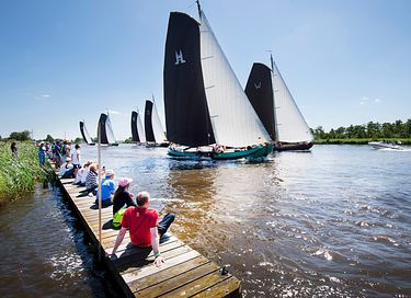 Natuurhuisje in Friesland (2p) - 18