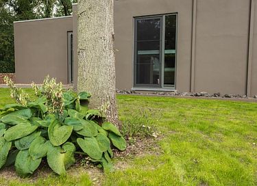 Luxe B&B met privé infrarood sauna - 14