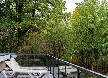 Maison unique avec toit-terrasse de la Veluwe - 3