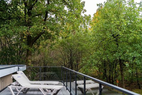 Maison unique avec toit-terrasse de la Veluwe - 3
