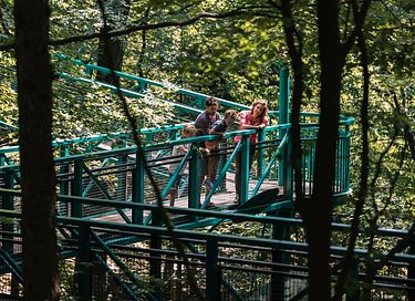 Vakantiehuis met ruime tuin en overkapping - 34