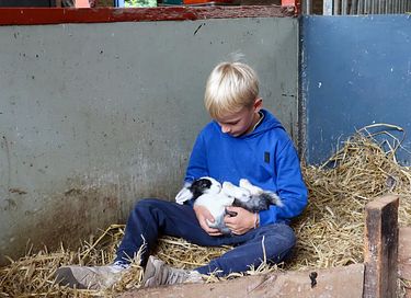 Zelt-Ferienhaus mit Whirlpool auf einem Bauernhof in Drenthe - 42
