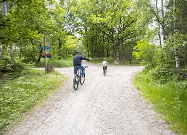 Capanna sull'albero in Belgio con vasca idromassaggio - 35