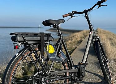 Studio acceptant les chiens (2 personnes) à Terschelling - 33