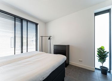 Pet-friendly villa for 6 people - 23