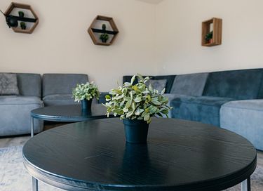 Groepsboerderij in de natuur voor 20 personen - 6
