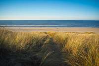 Top 5 hondvriendelijke overnachtingen in Callantsoog