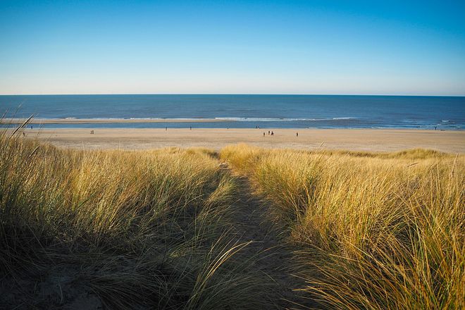 Top 5 delle notti pet-friendly a Callantsoog