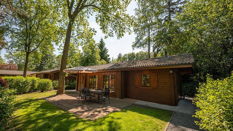Wooden nature cottage (6p) in Gelderland - 1