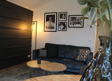 Freistehende Ferienwohnung in Overijssel (4p) - 4