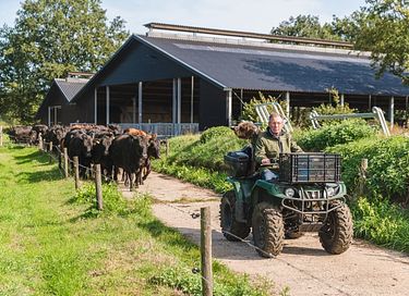 Dormir dans 2 chalets en meule de foin pour 10 personnes - 17