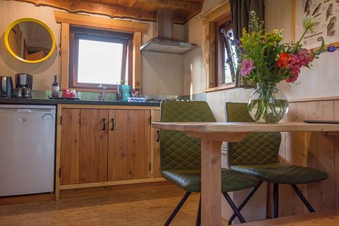 Logement de vacances en bois (4p) à Overijssel - 5