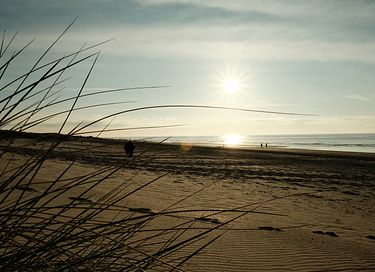 Zonnige gezinsbungalow nabij het strand  - 35