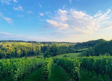 Comfortable stay for two in Limburg - 22