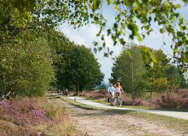 Boslodge op leuke camping in Overijssel - 30