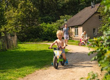 Uniek vakantiehuis in N-Brabant met hottub - 32