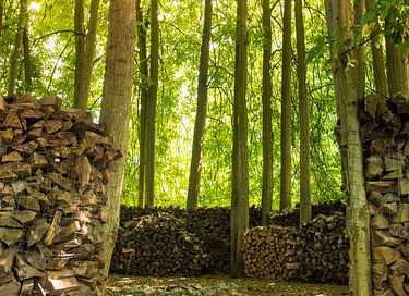 Enjoy peace and nature at a country estate - 18