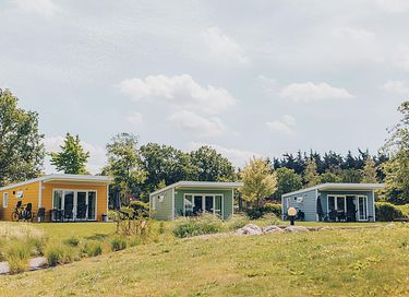 Farverigt chalet til 4 personer i Gelderland - 3