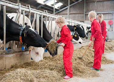 Glamping auf der Dairy & Calf Farm - 7