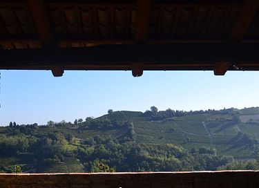 Logement de vacances au milieu des vignobles - 12