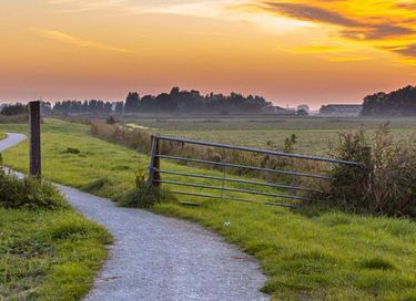 Groepsverblijf aan een uitgestrekt bos - 20