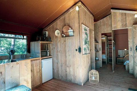Luxury safaritent on the Veluwe - 4